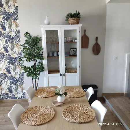 Les Mouettes Du Port Honfleur