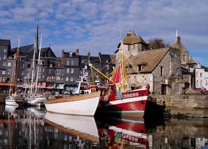 Les Mouettes Du Port Daire *