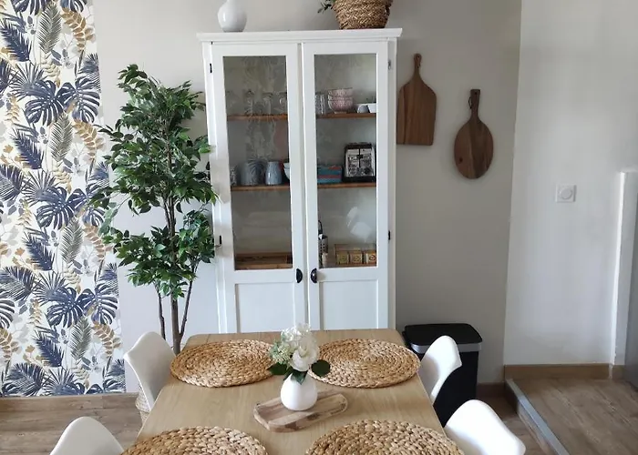 Les Mouettes Du Port Honfleur